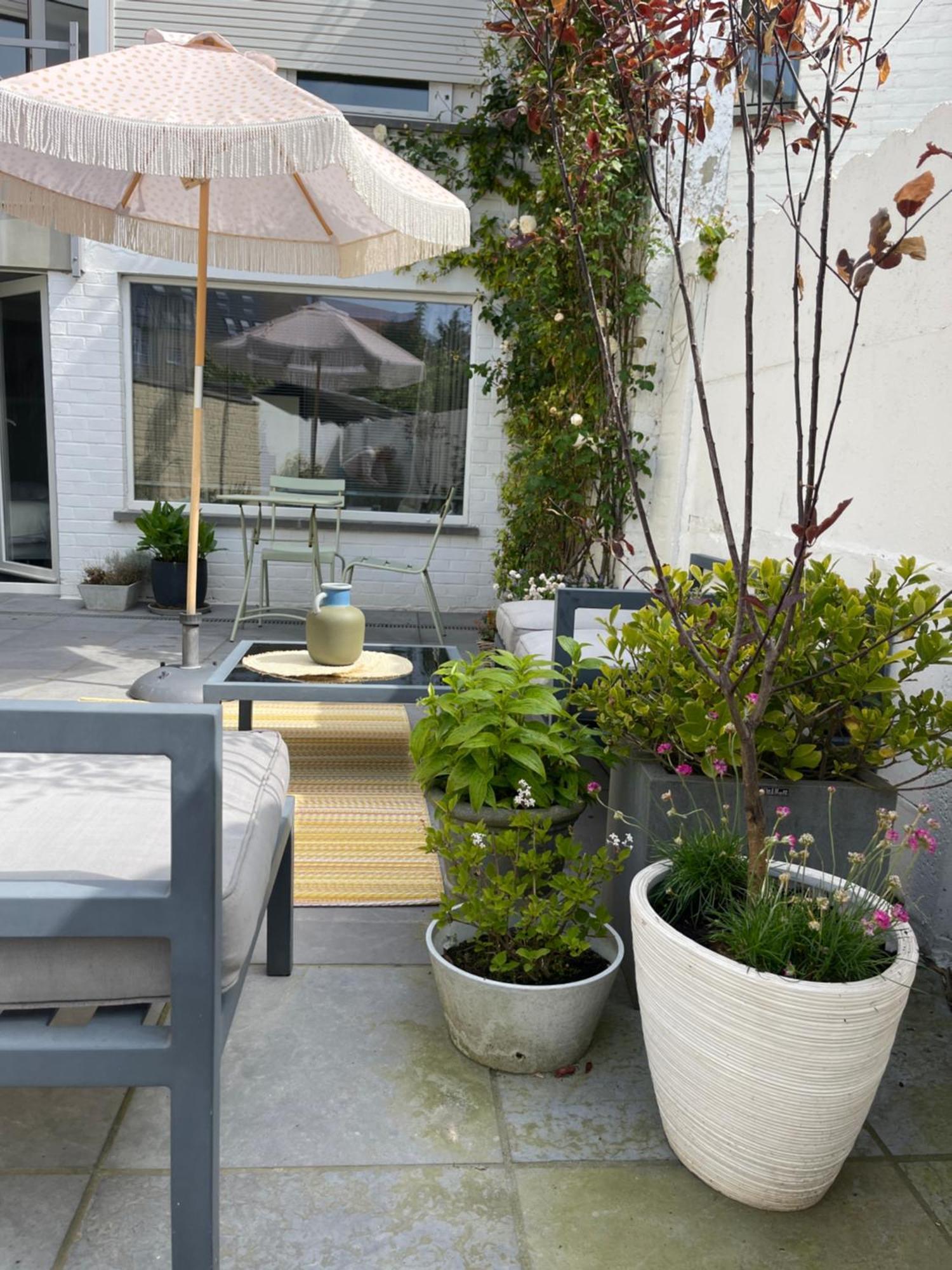 Guesthouse Poppies , Free Parking ออสเทนด์ ภายนอก รูปภาพ